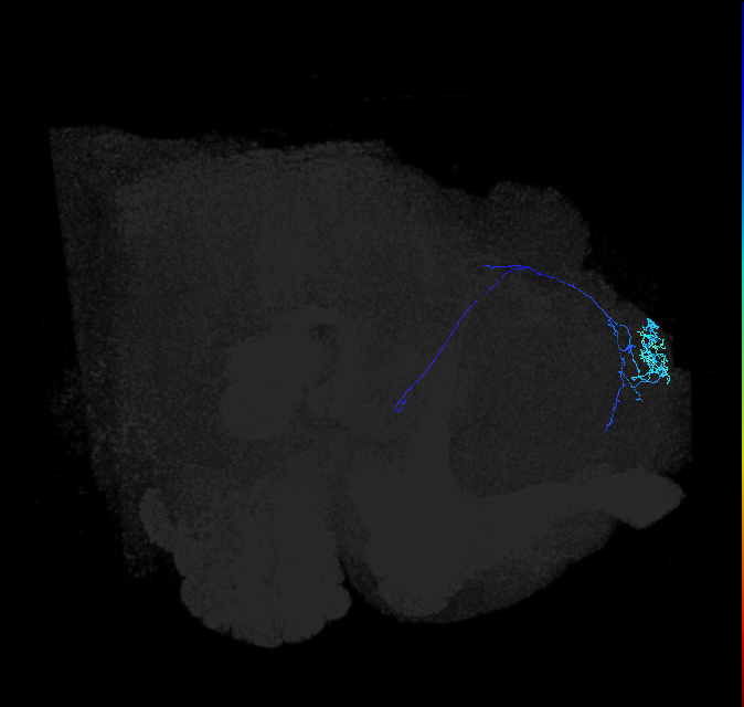 ADL10h_pct_R