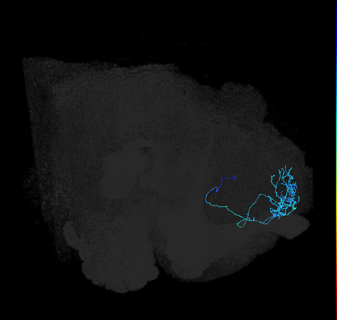 ADL02ok_pct_R