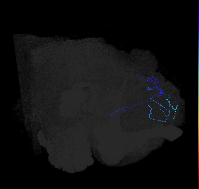 ADL11t_pct_R