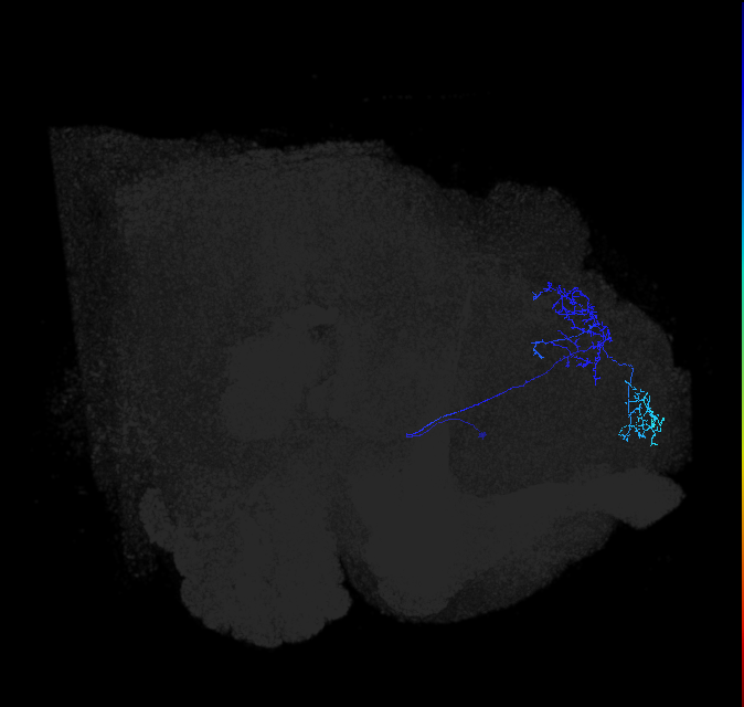 ADL11j_a_pct_R