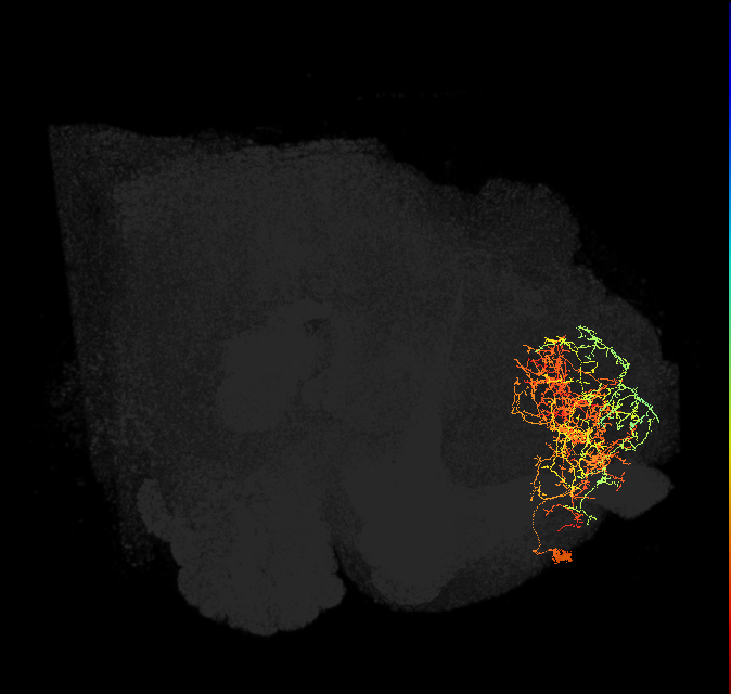 ADM04oo_pct(ADM04)_L