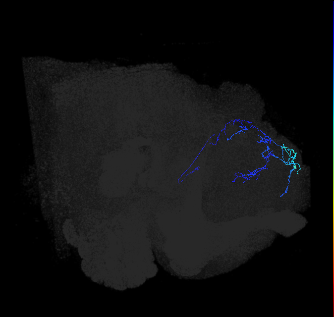 ADL10q_pct_R