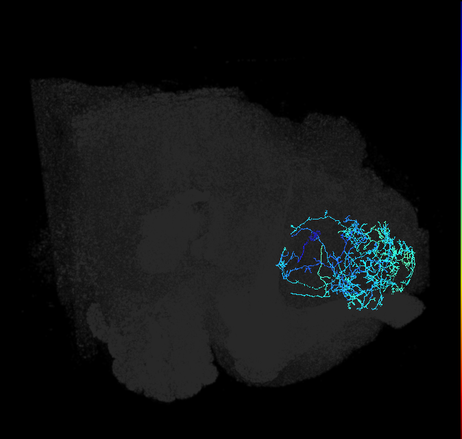 ADL02or_pct_R