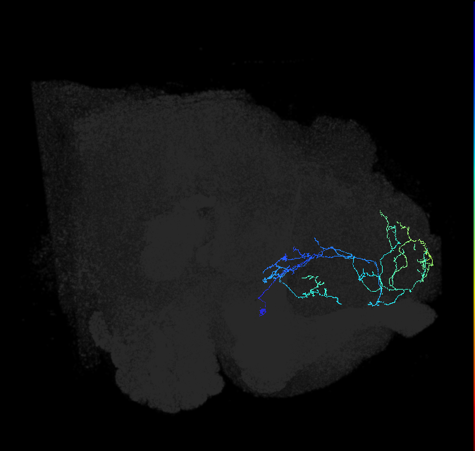 ADL13d_pct_R