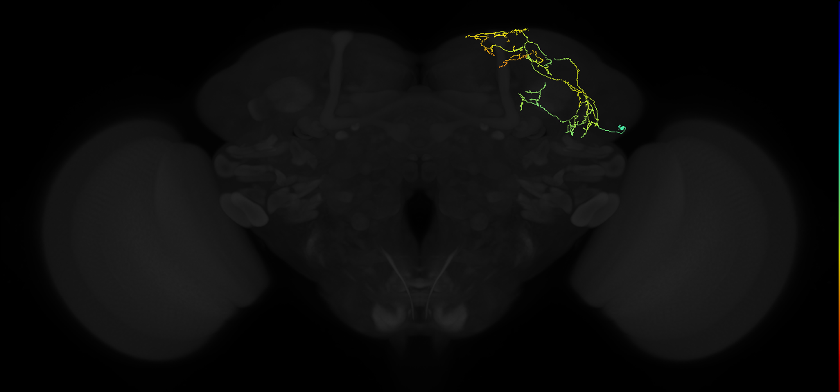 ADL13d_pct_R