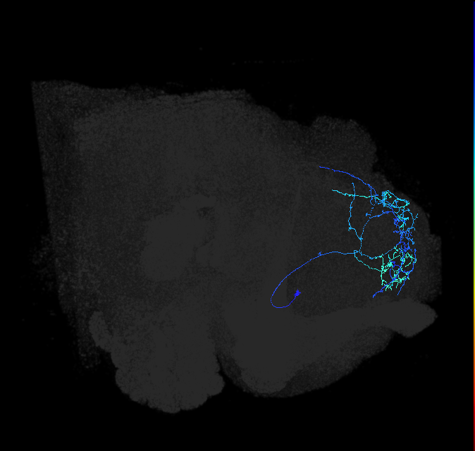 ADL20d_pct_R