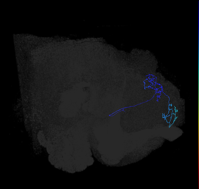 ADL11j_a_pct_R