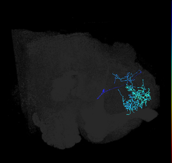 ADL07olb_pct_R