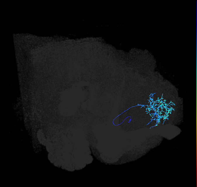 ADL23c_b_pct_R