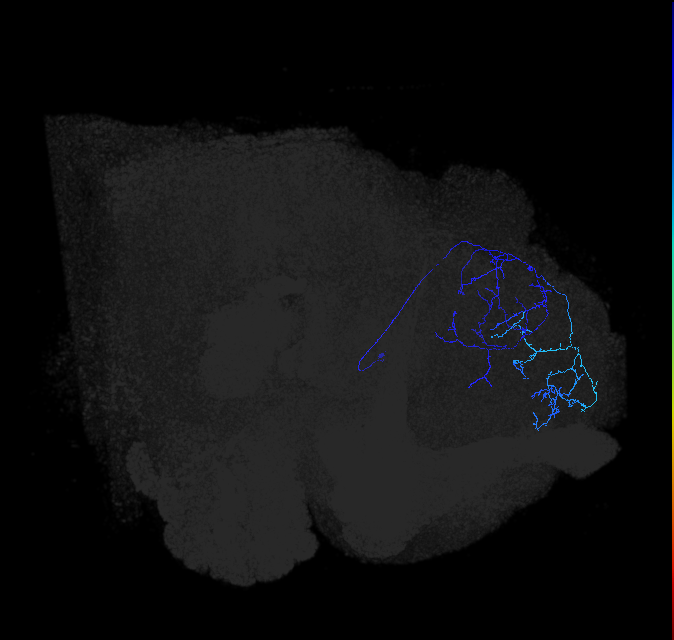 ADL10g_a_pct_R