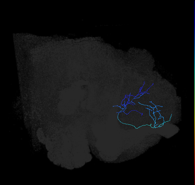 ADL03p_pct_R
