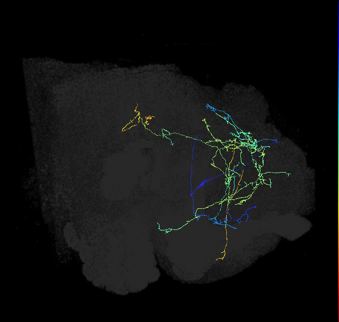 ADL07i_pct(aSP7b)_R