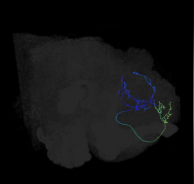ADL15i_b_pct_R