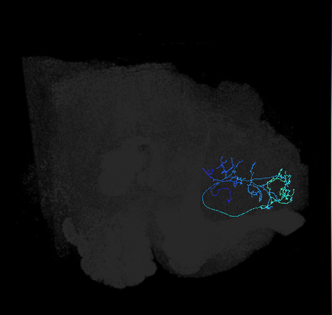 ADL03n_pct_R