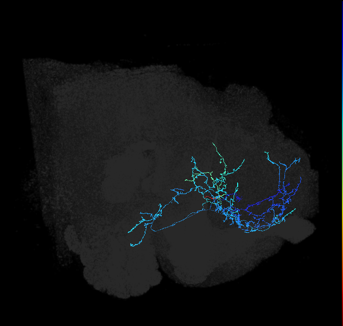 ADL03d_pct_R