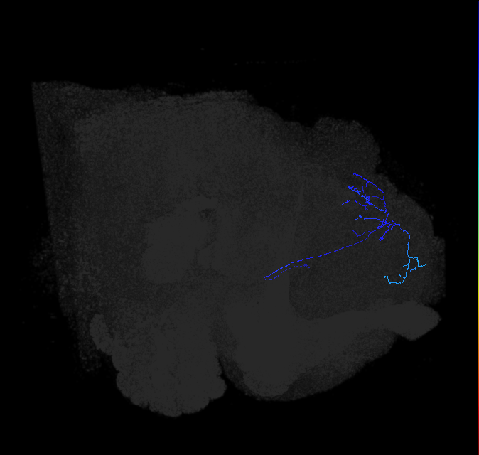 ADL11j_a_pct_R