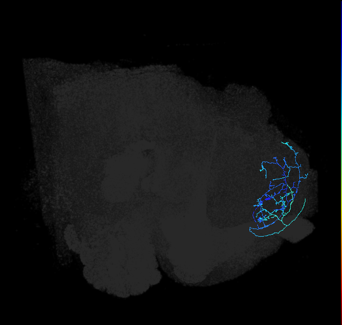 ADL18d_a_pct_R