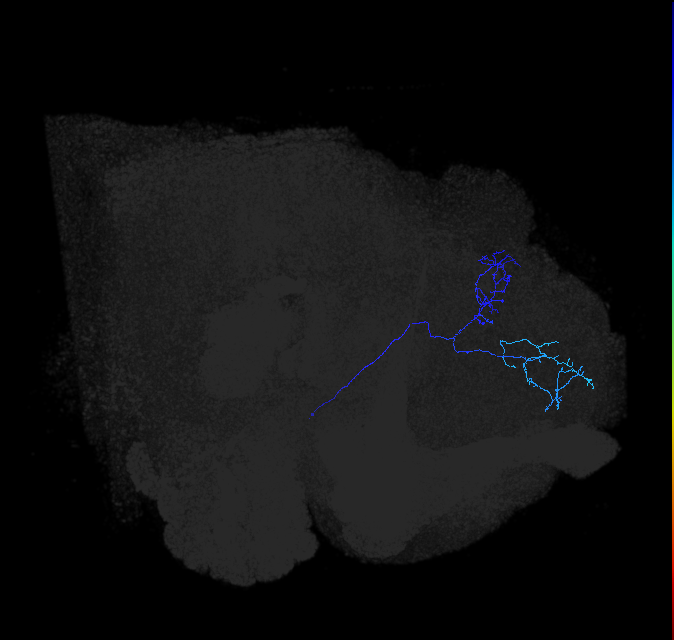 ADL04oe_pct_R