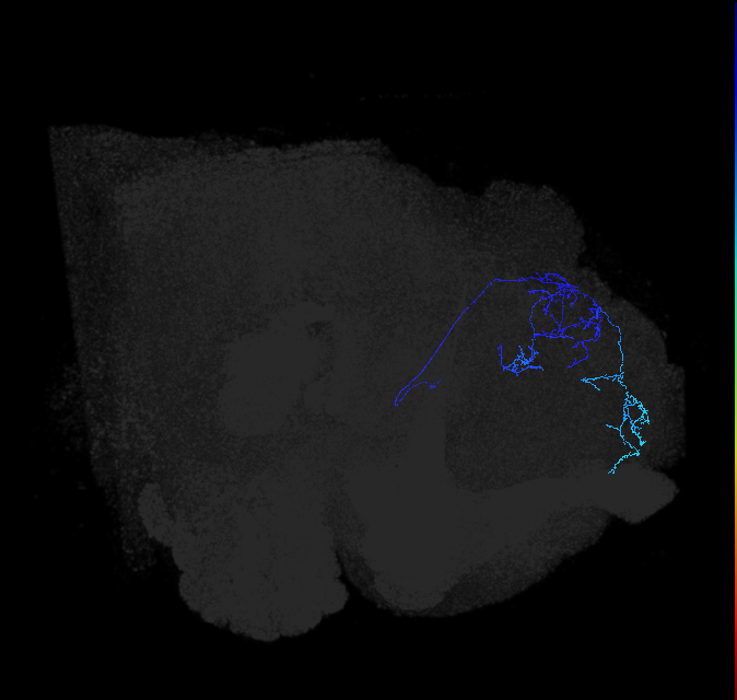 ADL10g_b_pct_R