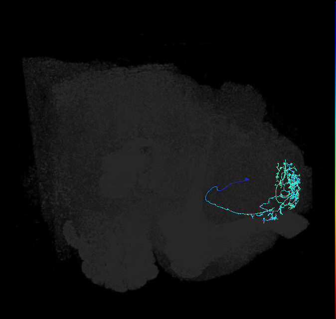 ADL02i_b_pct_R