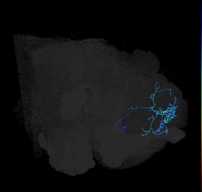 ADL20j_a_pct_R