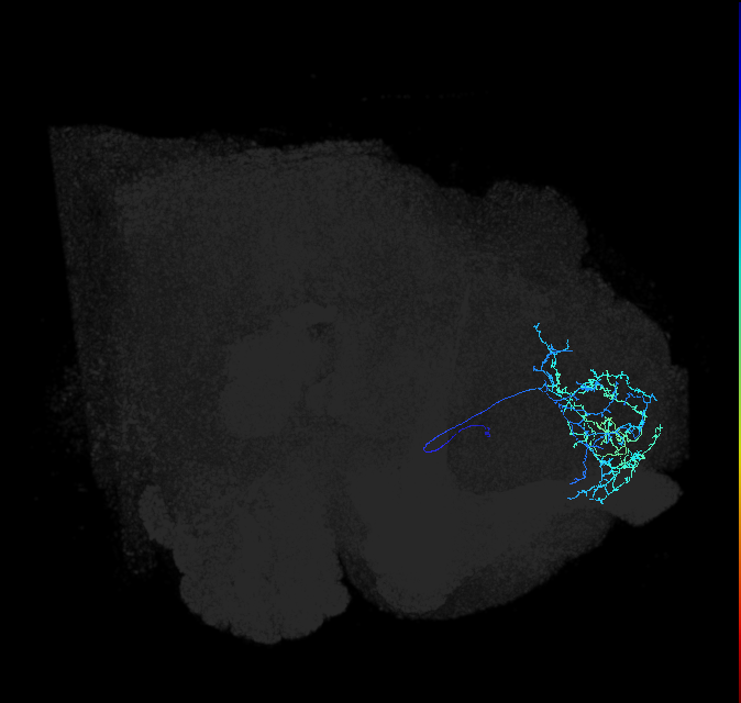 ADL09lb_pct_R