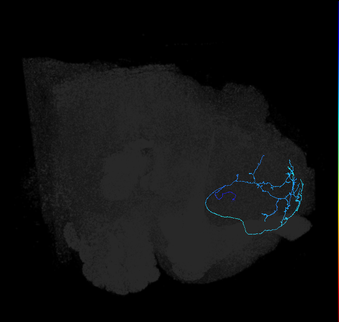 ADL03m_c_pct_R