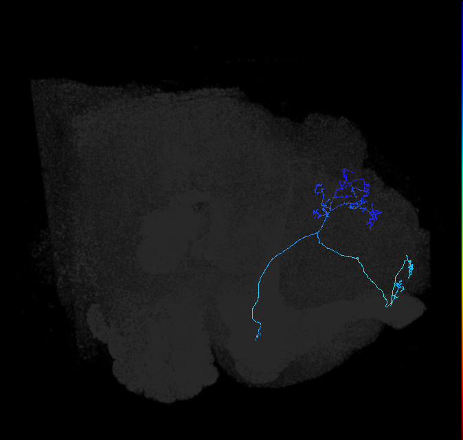 ADL19w_pct_R
