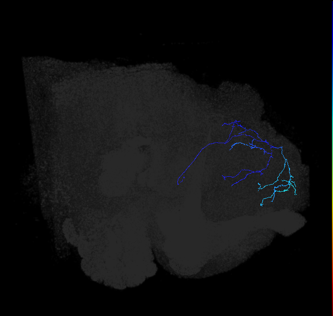 ADL10g_d_pct_R