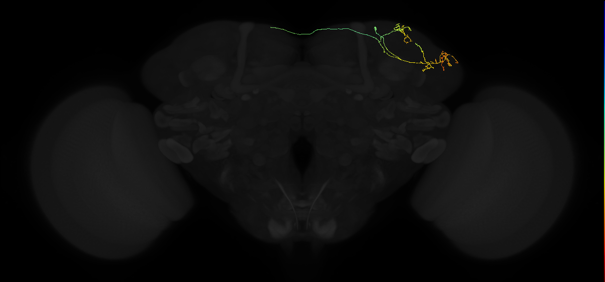 ADL17d_a_pct_R