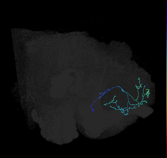 ADL13d_pct_R