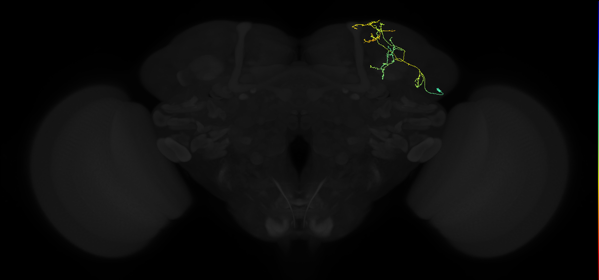 ADL13d_pct_R
