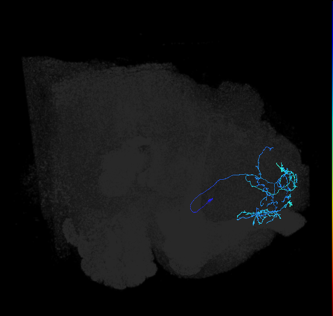 ADL23j_pct_R