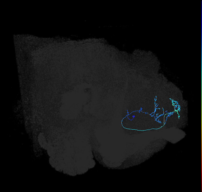 ADL03oa_pct_R