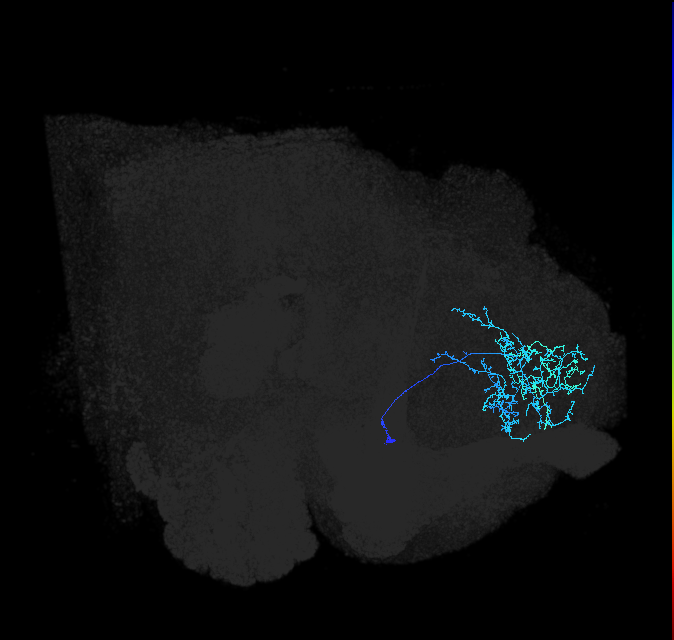 ADL23h_pct_R