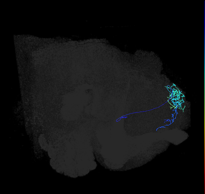 ADL07v_pct_R