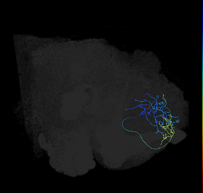 ADL15of_pct_R