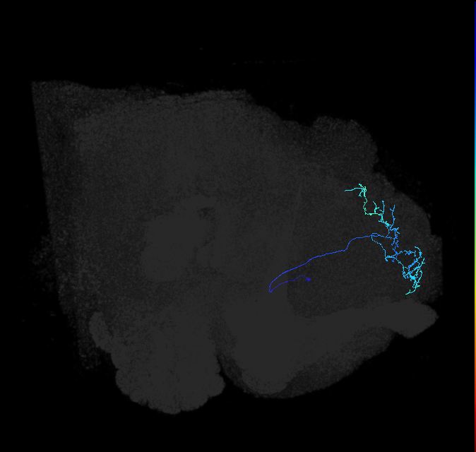 ADL16h_pct_R