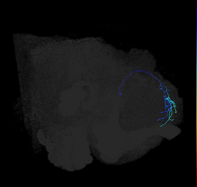 ADL04c_pct_R