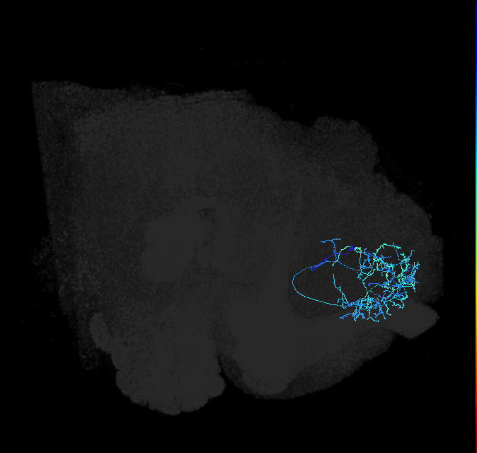 ADL02j_a_pct_R