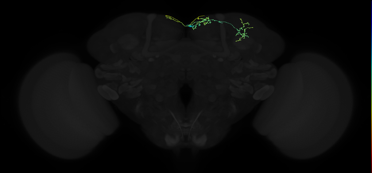 ADM04v_b_pct(aSP25b)_R