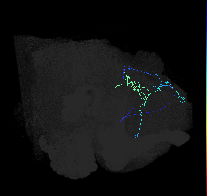 ADL07oc_pct_R