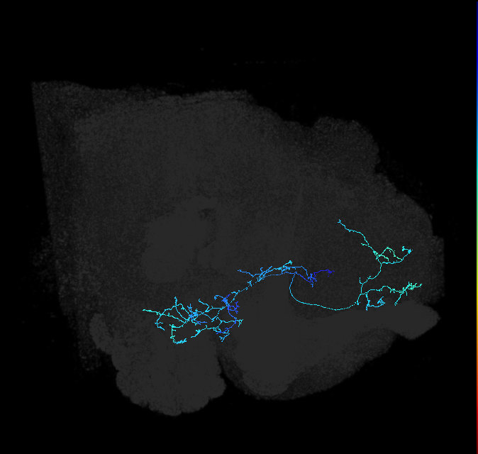 ADL03oq_pct_R