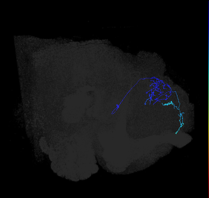 ADL10g_b_pct_R