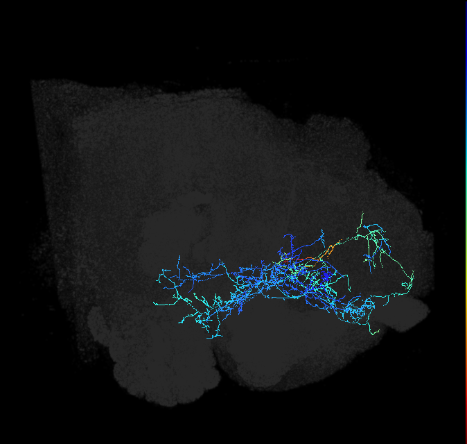 ADL03e_pct_R