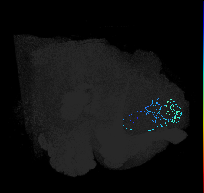ADL03oa_pct_R