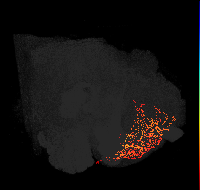 ADM05oh_pct(ADM05)_L