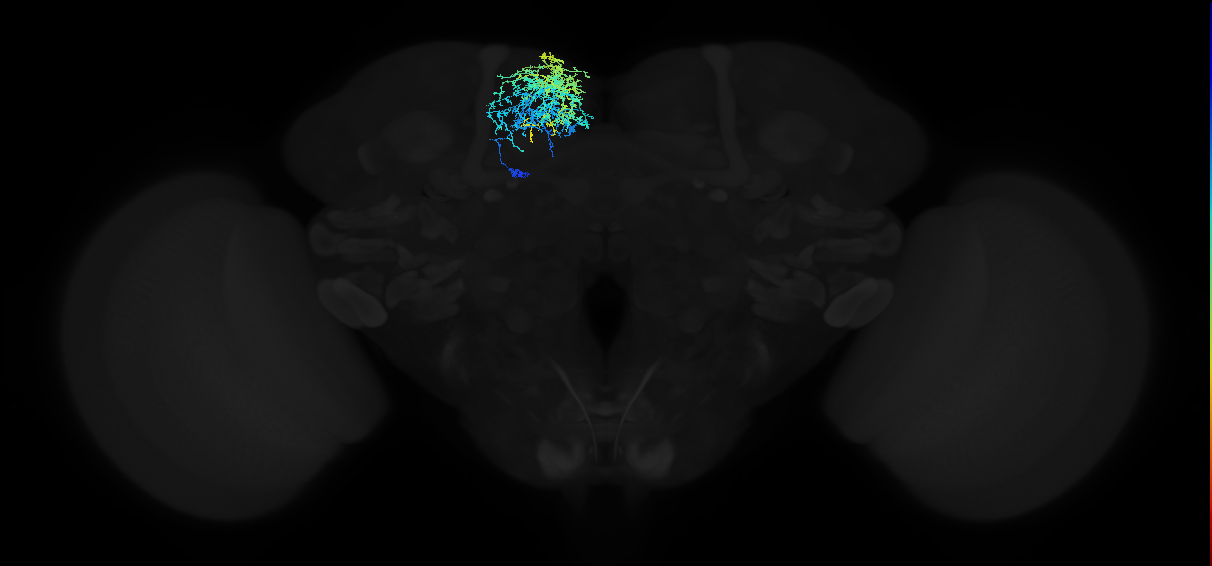 ADM05oh_pct(ADM05)_L