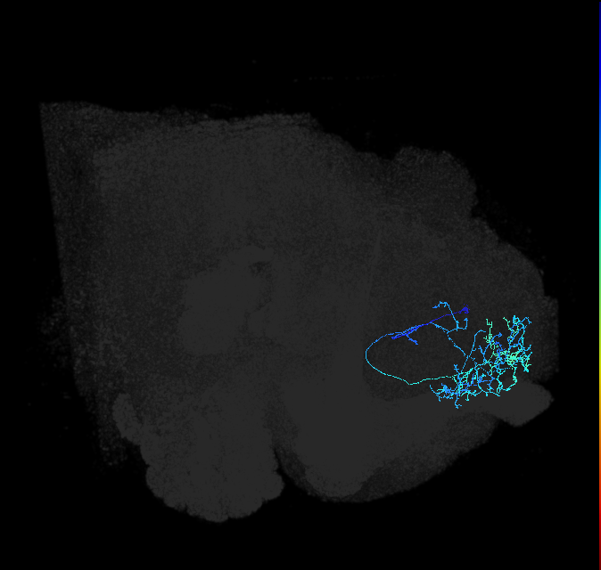 ADL02j_a_pct_R