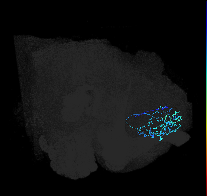 ADL02j_a_pct_R